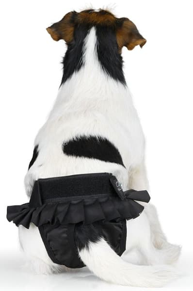 Tikskydd BALLERINA Svart XS, view: 3