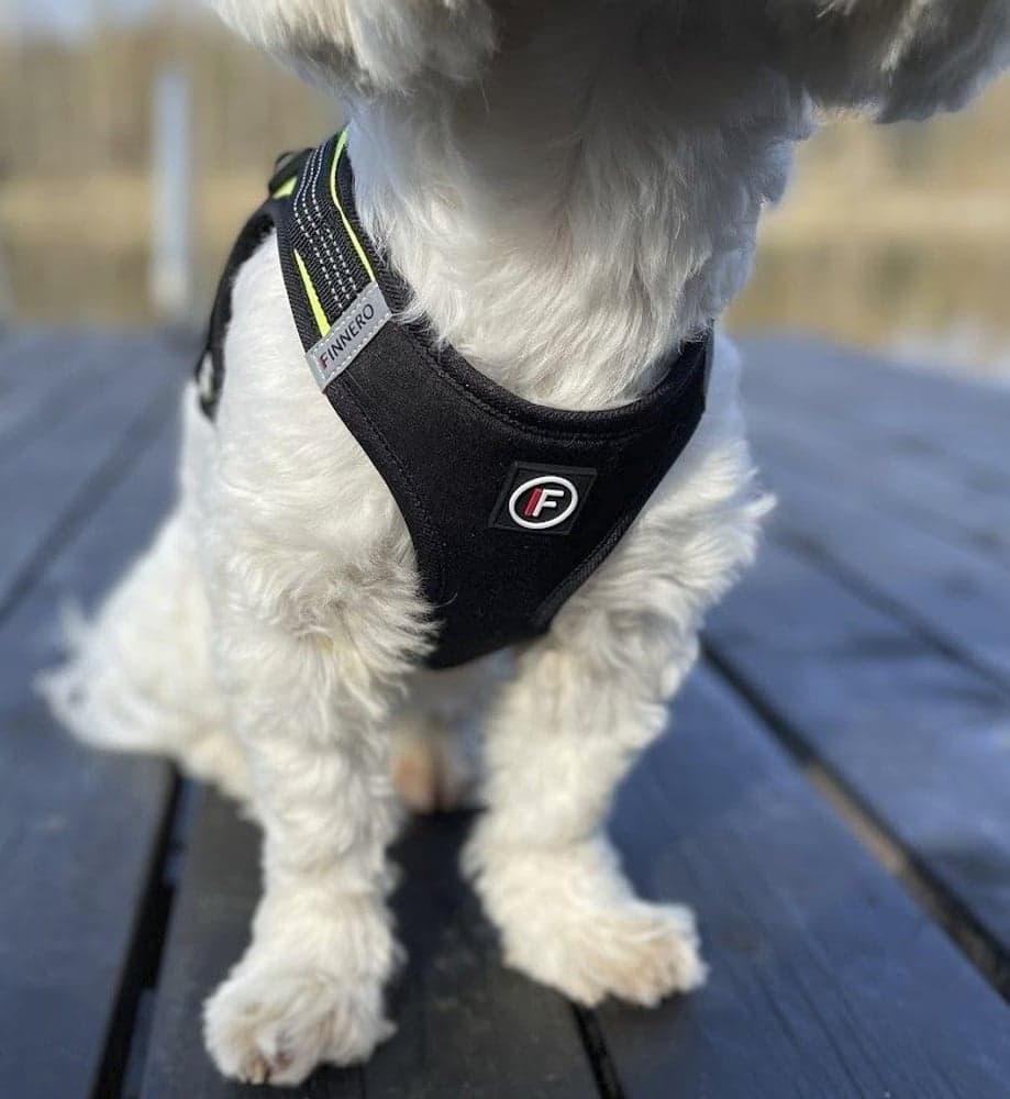 Västsele HALI Svart/gul M, view: 7