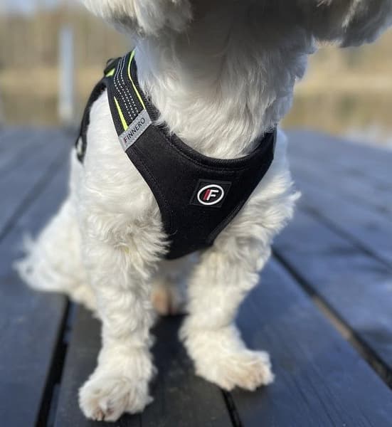 Västsele HALI Svart/gul M, view: 7