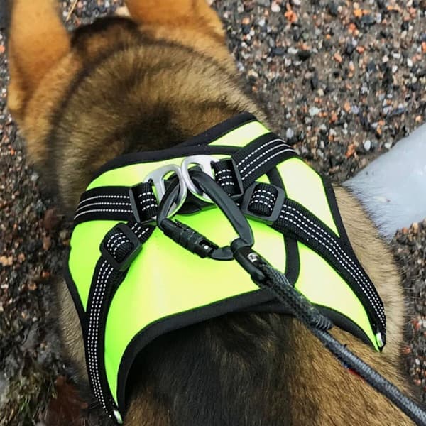 Västsele HALI Svart/gul S, view: 7