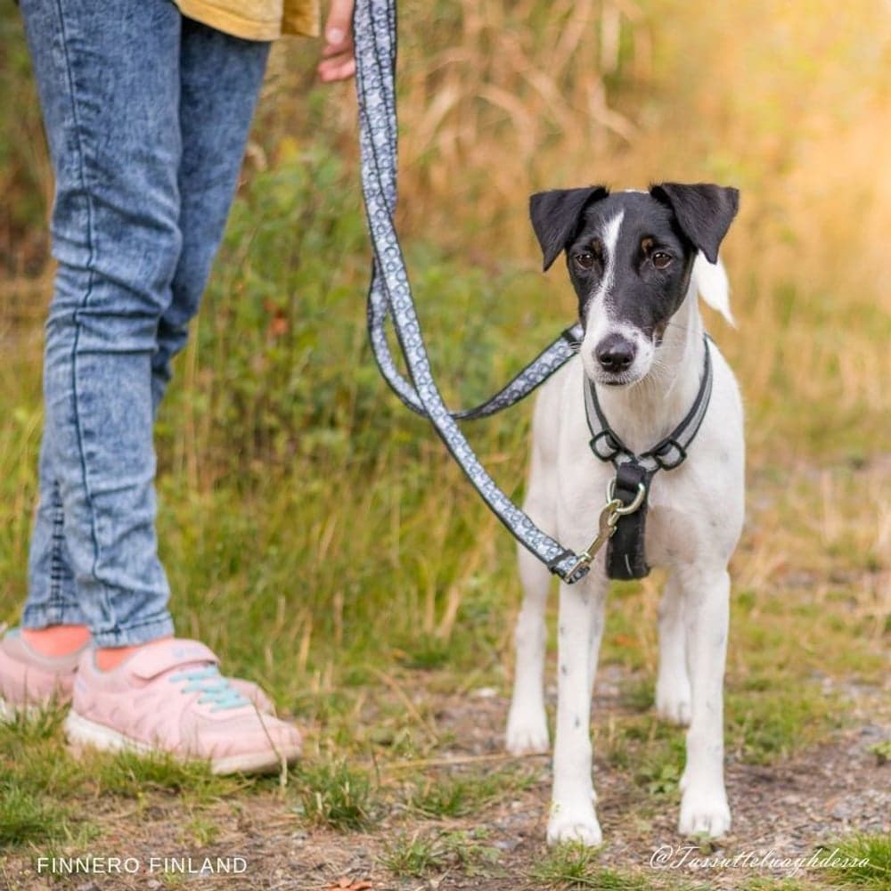 Träningssele SALO Svart M, view: 2