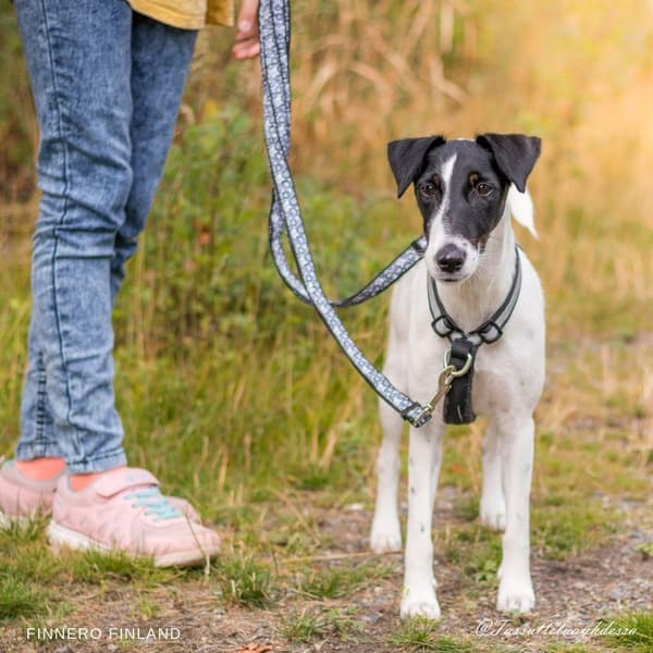 Träningssele SALO Svart S, view: 2
