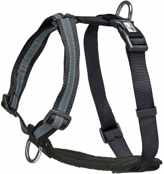 Träningssele SALO Svart S, view: 0