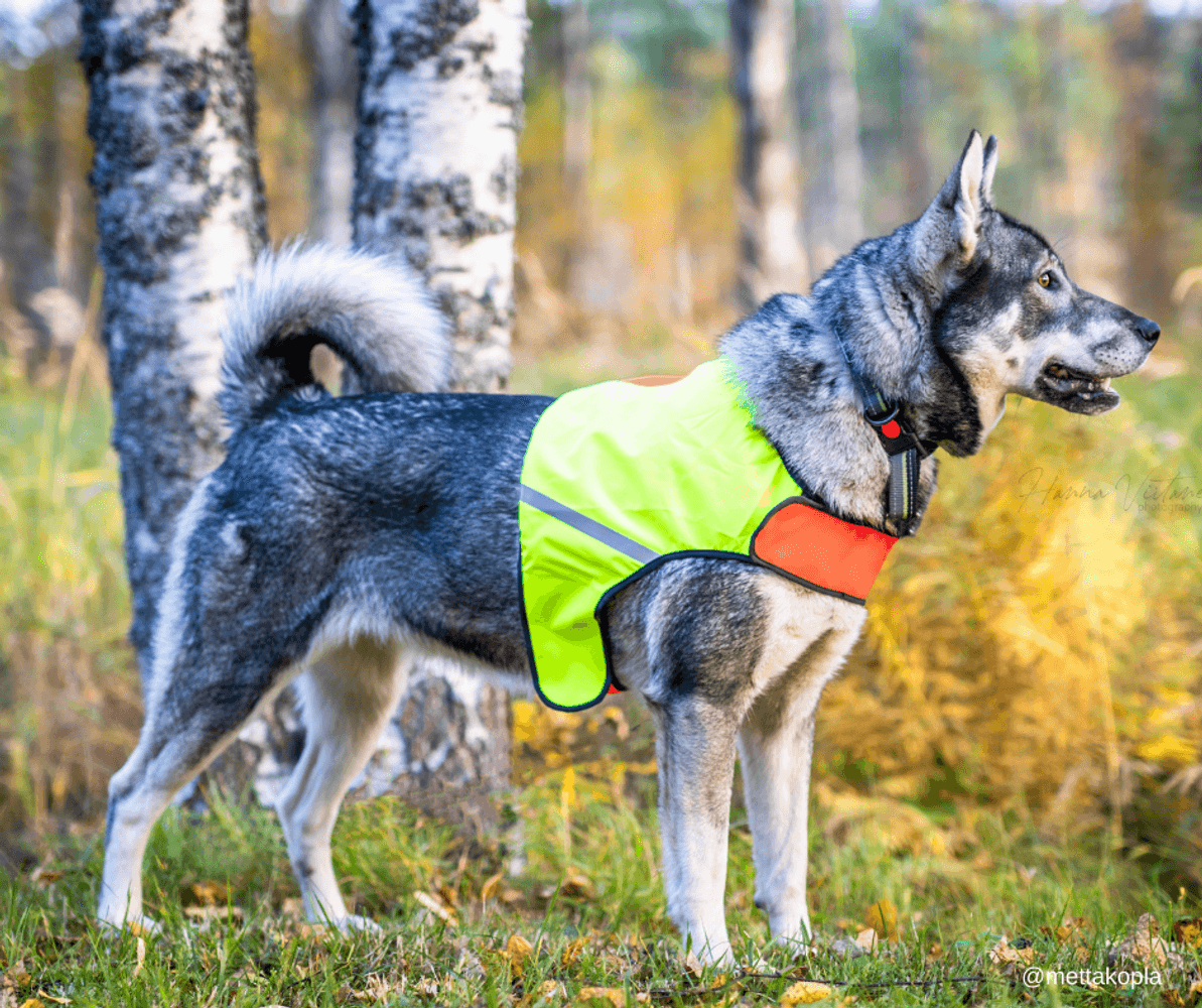 Signalväst UKKO Röd/Gul M, view: 5