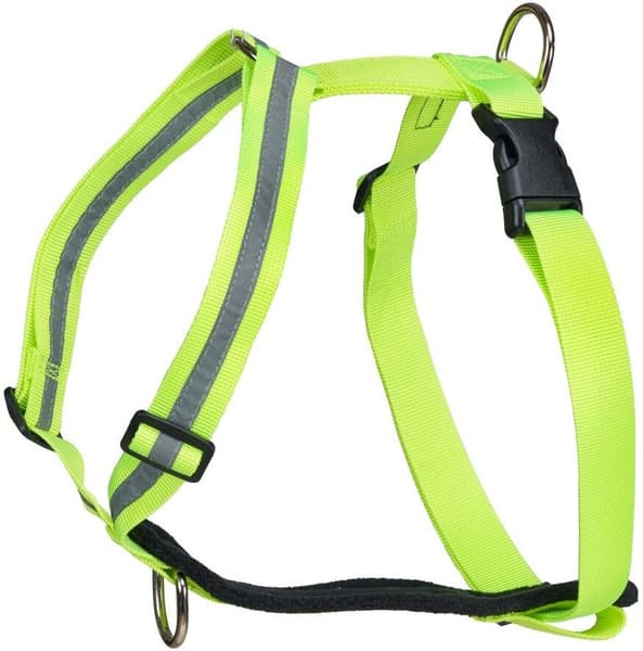 Träningssele SALO Ljusgul L, view: 0