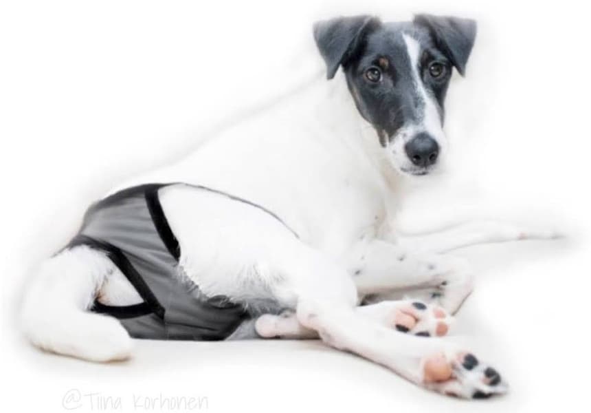 Tikskydd BRENDA Mörkgrå XS-S, view: 2