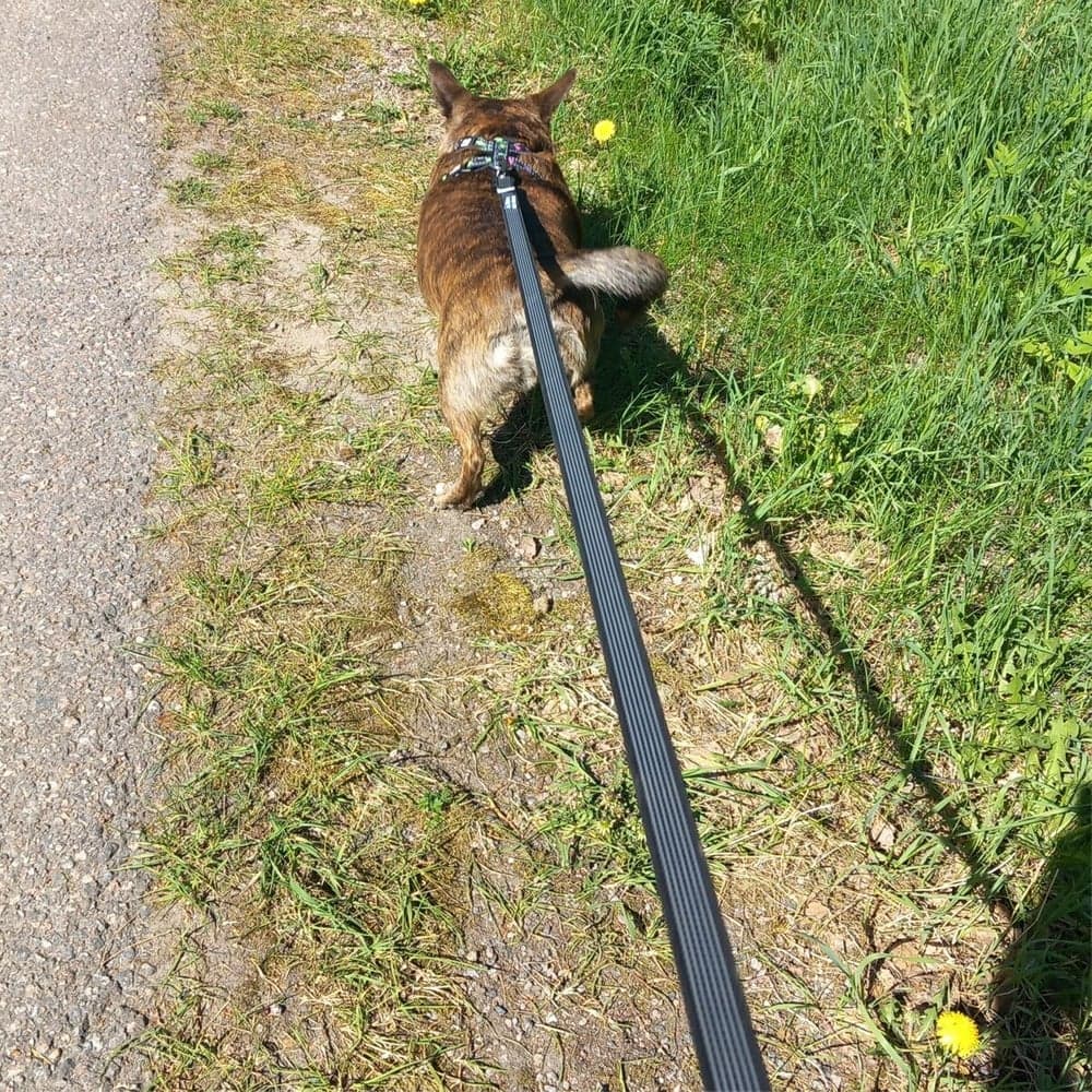 Antiglid-koppel RESCUE Svart 2 cm, view: 3