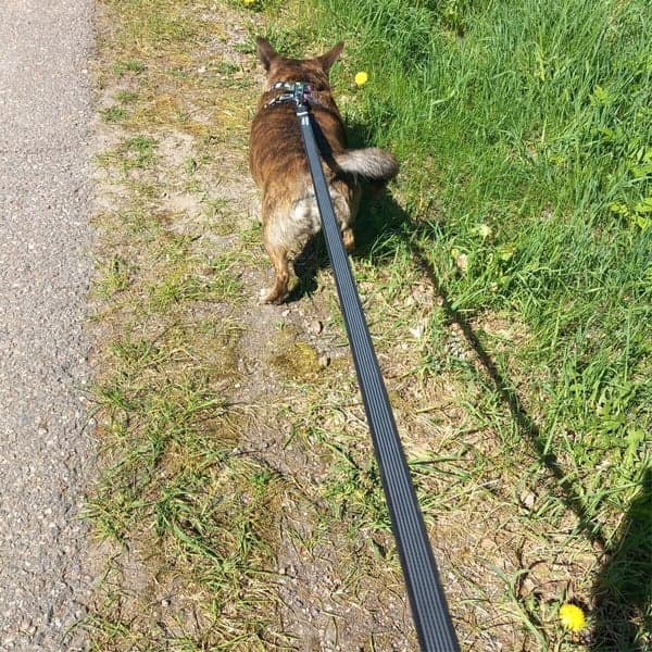 Antiglid-koppel RESCUE Svart 2 cm, view: 3