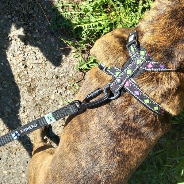 Antiglid-koppel RESCUE Svart 2 cm, view: 2