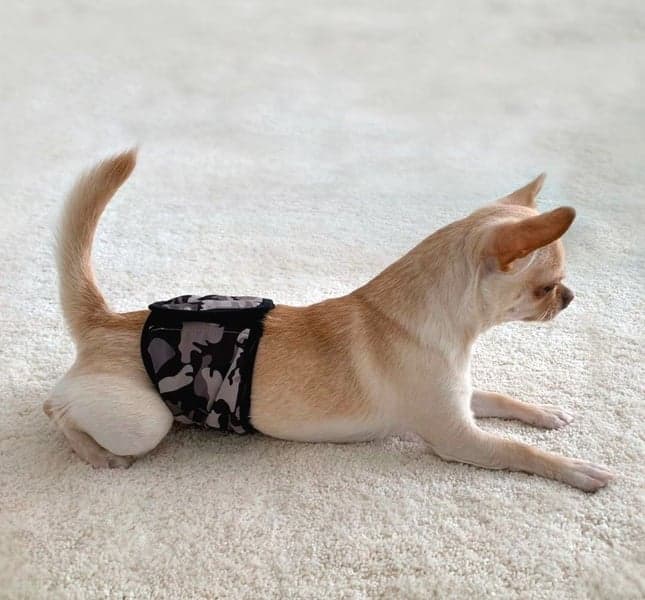 Skvättskydd JustinCase Camo L, view: 4