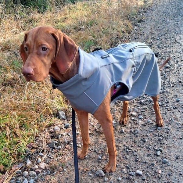 Softshelltäcke Sport Grey 45 cm, view: 6