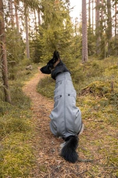 Softshelltäcke Sport Grey 65 cm, view: 8