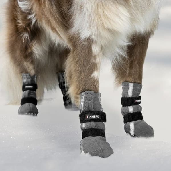 Hundsko HALLA Reflex Grå M-L 4-pack, view: 1