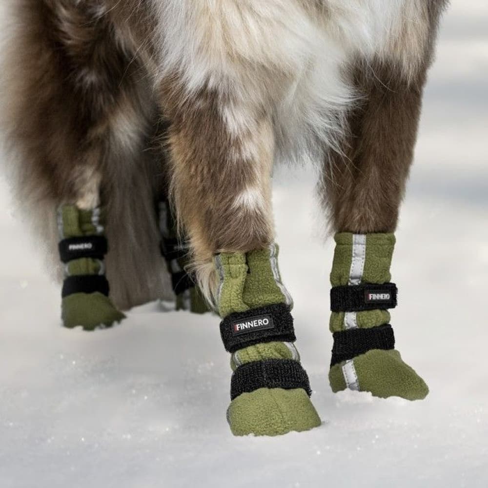 Hundsko HALLA Reflex Grön XL 4-pack, view: 1