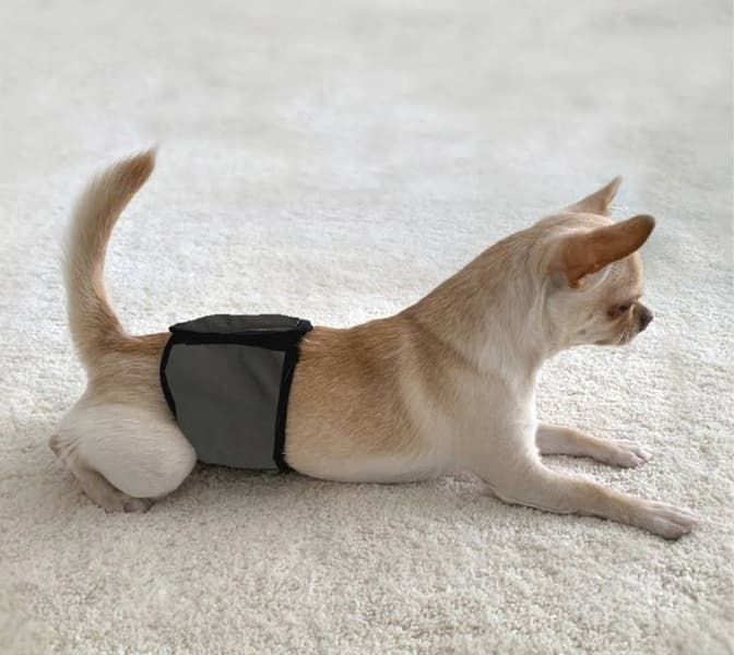 Skvättskydd JustinCase Svart XS, view: 4