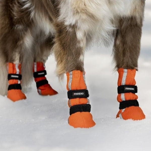 Hundsko HALLA Reflex Orange XL 4-pack, view: 1