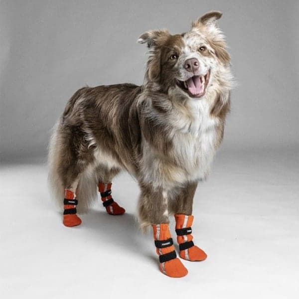 Hundsko HALLA Reflex Orange XL 4-pack, view: 2