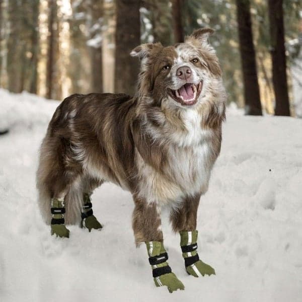 Hundsko HALLA Reflex Grön XXS-S 4-pack, view: 2