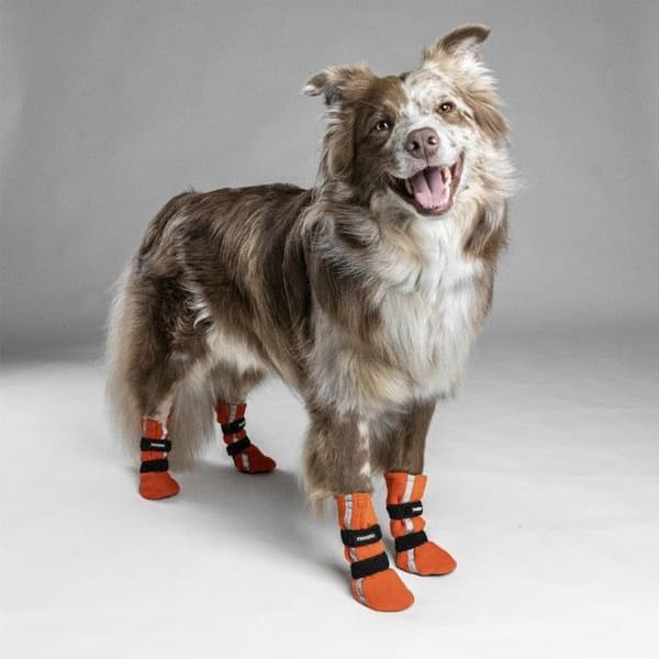 Hundsko HALLA Reflex Orange XXS-S 4-pack, view: 2