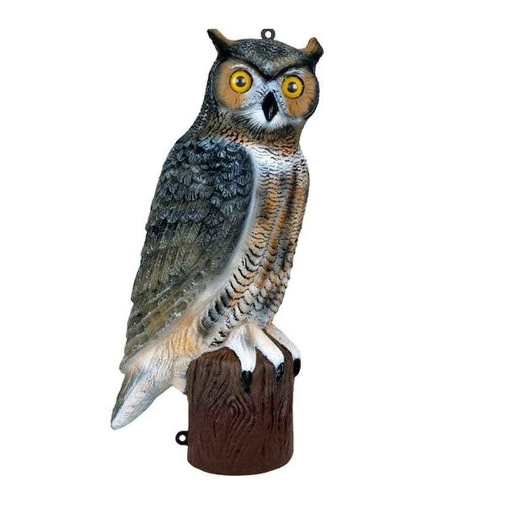 Bulvan Bergsuv, view: 0