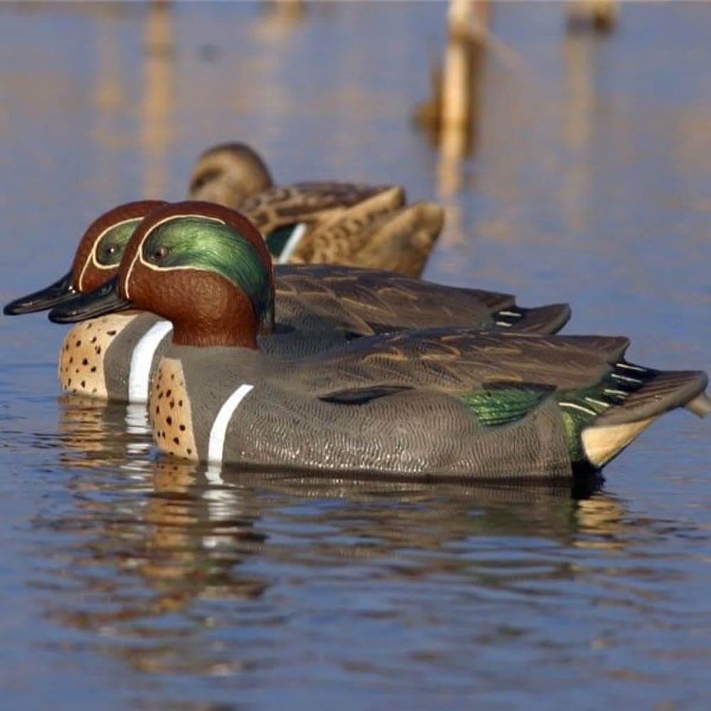 Storm Front™2 Classic Green-winged Teal (Krickor) 6-Pack, view: 1