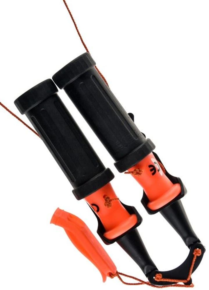 IFISH Isdubbar, view: 0