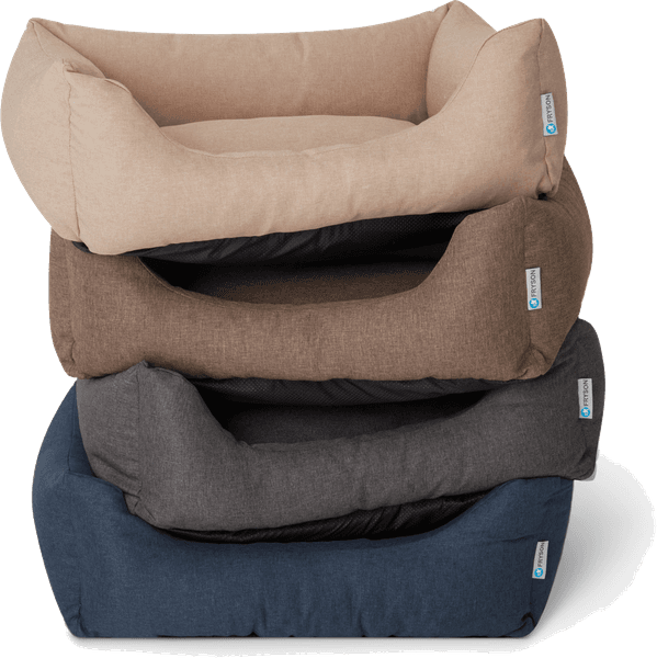 Skåne Bronsbrun M, view: 3