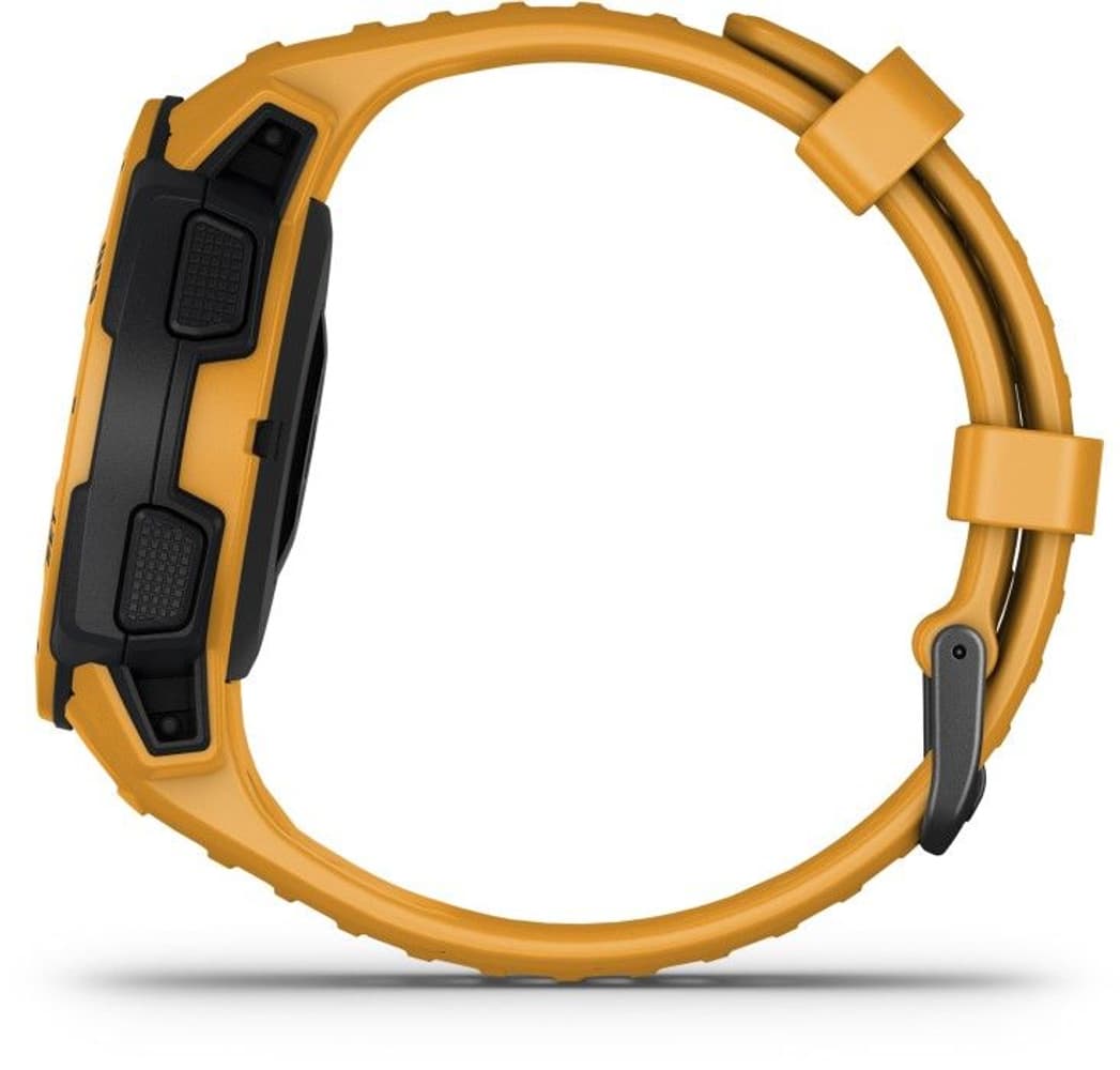 Instinct Solgul, view: 2