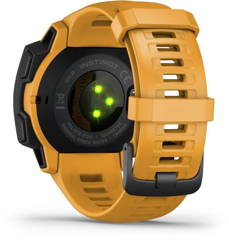 Instinct Solgul, view: 3