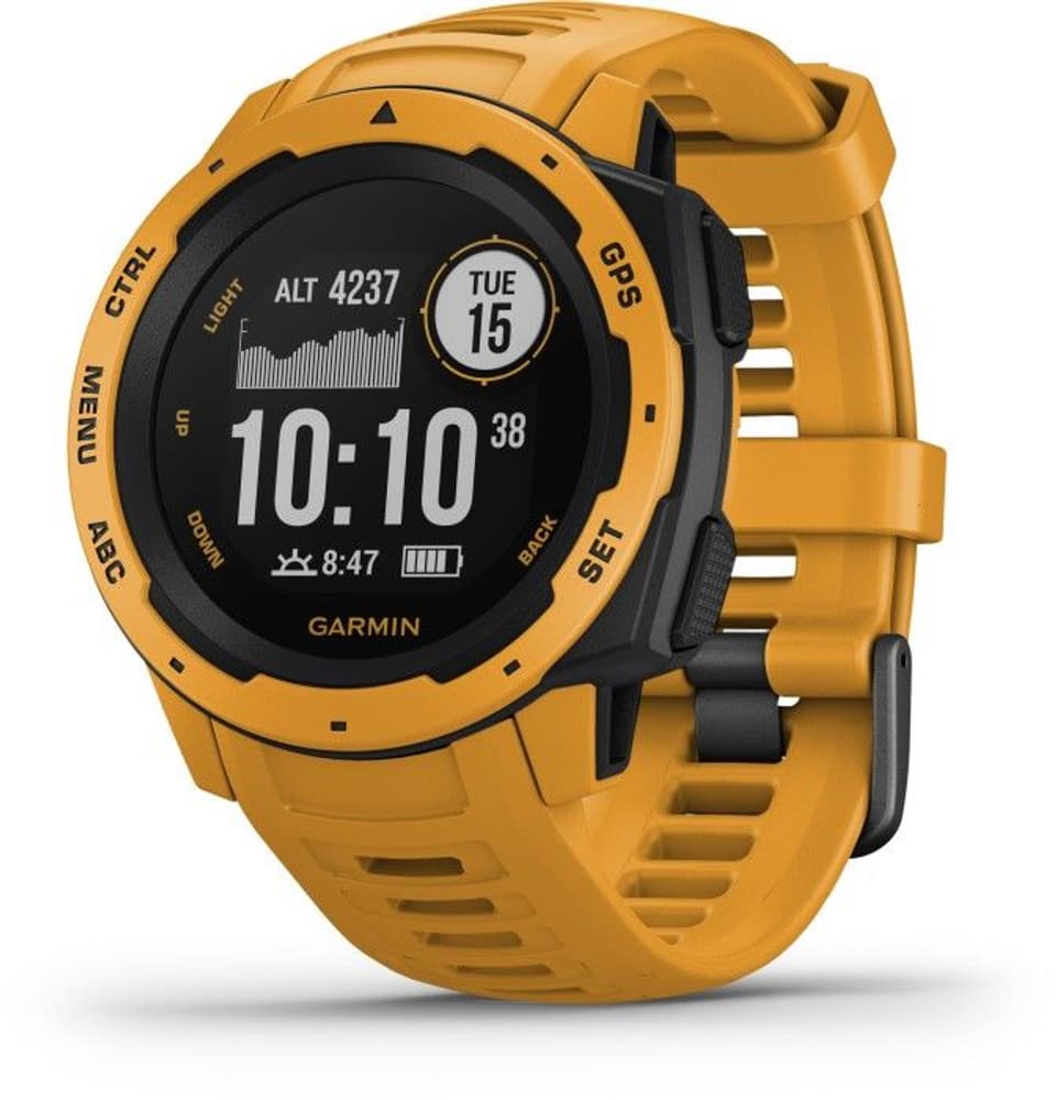 Instinct Solgul, view: 0