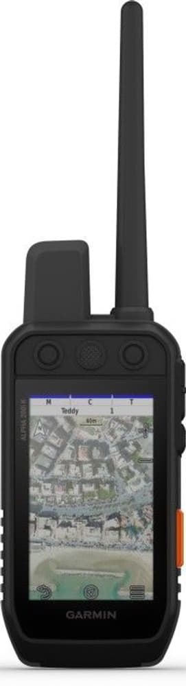 Alpha 200i+T5 Hund-GPS, view: 6