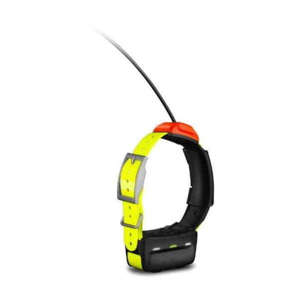 T5 GPS-Pejlhalsband, view: 1