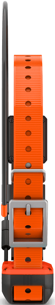 Alpha T20 Pejlhalsband, view: 1