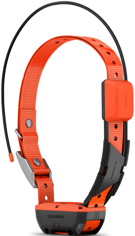 Alpha T20 Pejlhalsband, view: 5