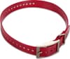 Halsband T5 Rött 1 tum