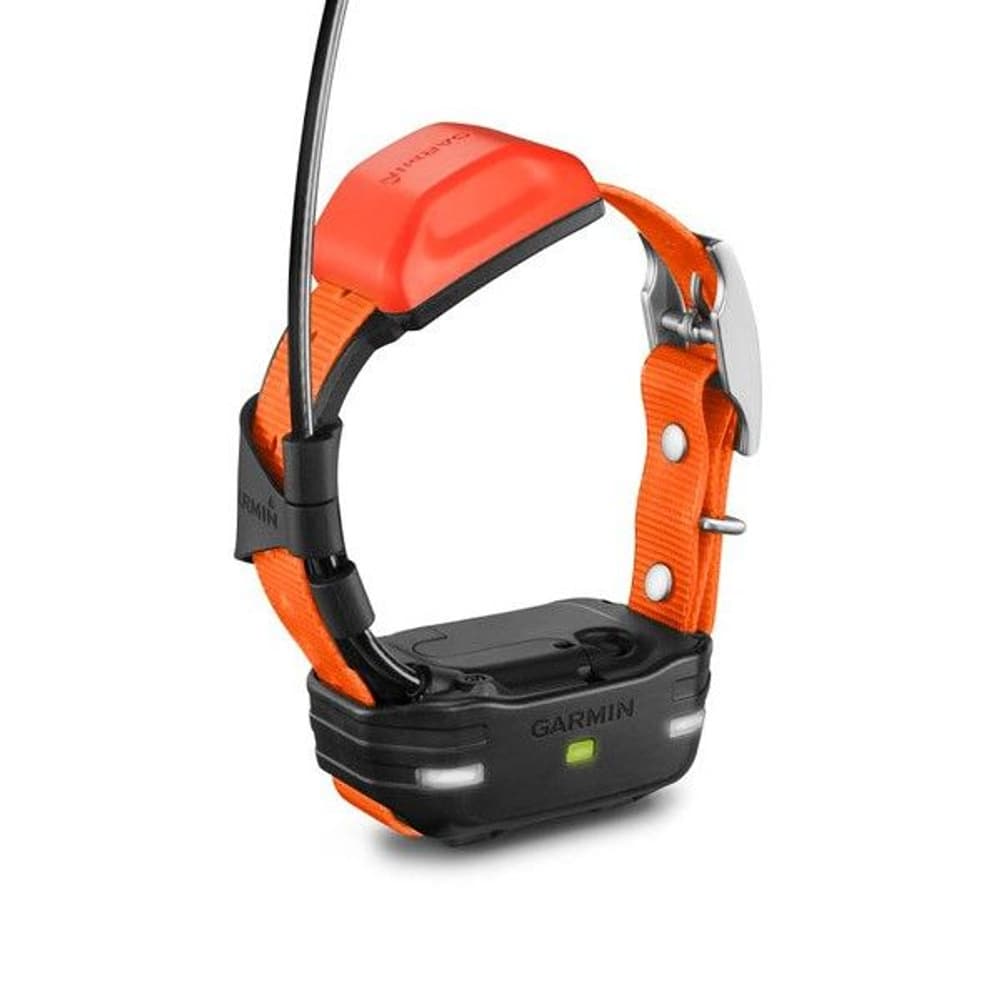 T5 Mini GPS-Pejlhalsband, view: 0