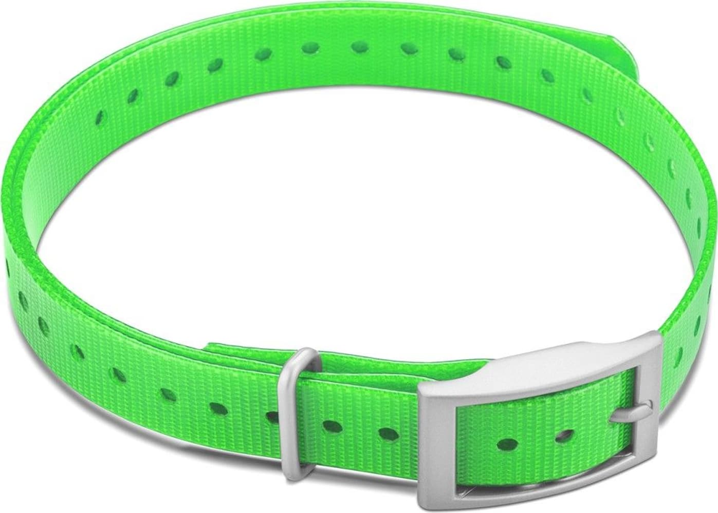 Halsband T5 mini - Grönt, view: 0