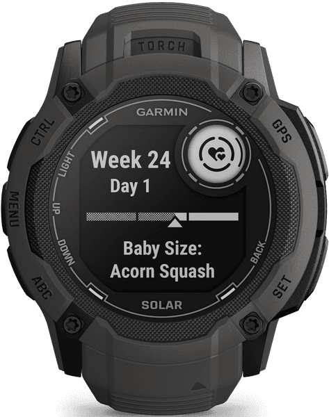 Instinct 2X Solar Graphite, productDetailPage.view: 9