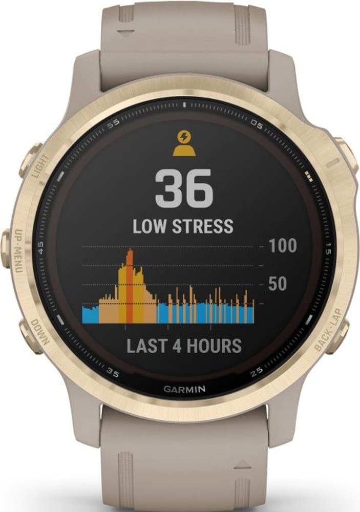 Fenix 6S Pro Solar Lt Gold/Sand, view: 2