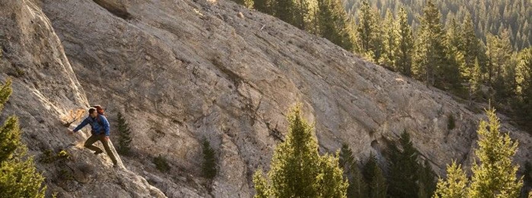 Oregon 750, view: 15