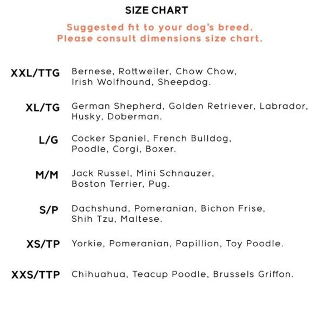 Trendz Snow Camo S 2 pcs, view: 1