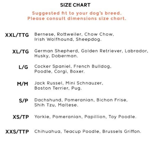 Trendz Snow Camo XL 2 pcs, view: 1