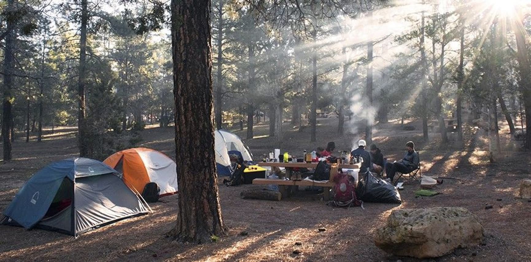 GP Safeguard RF2.1 079170, view: 4