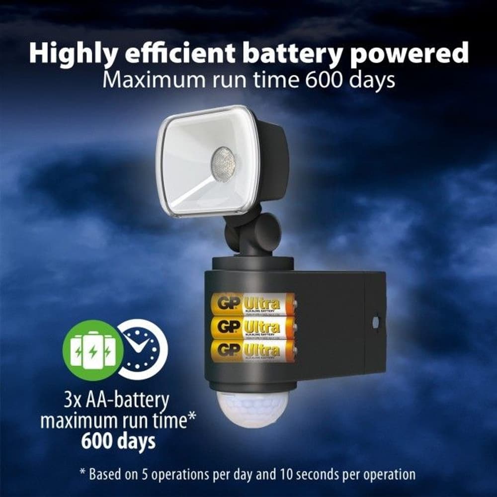 GP Safeguard RF1.1 079163, view: 5