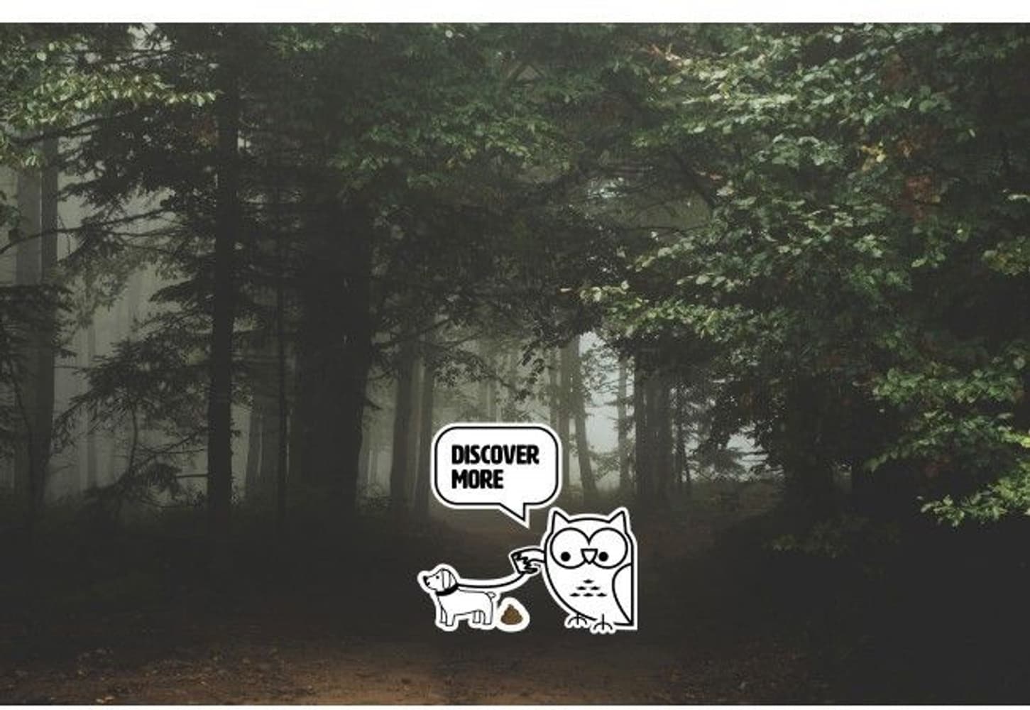 GP Discovery C32 Lupus 300lm, view: 4