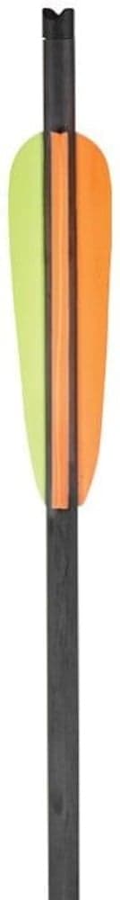 Evelox Carbonpilar 30 3-Pack (En pil saknar spets), view: 0