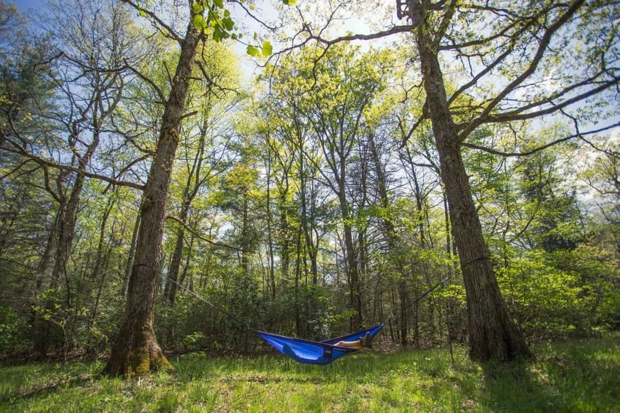 Eno Atlas XL Suspension System 2x4,11m Black/Royal, view: 4