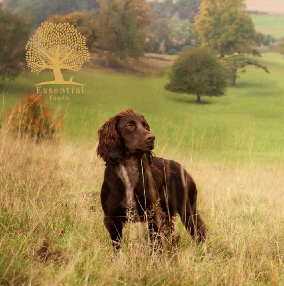 Contour 10 kg, view: 1