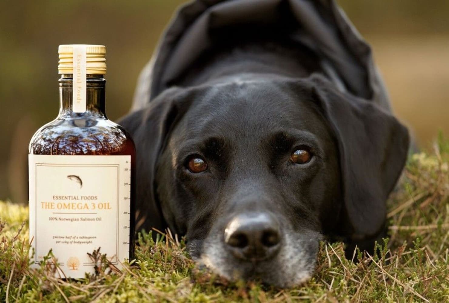 The Omega 3 Oil 1 L, view: 1