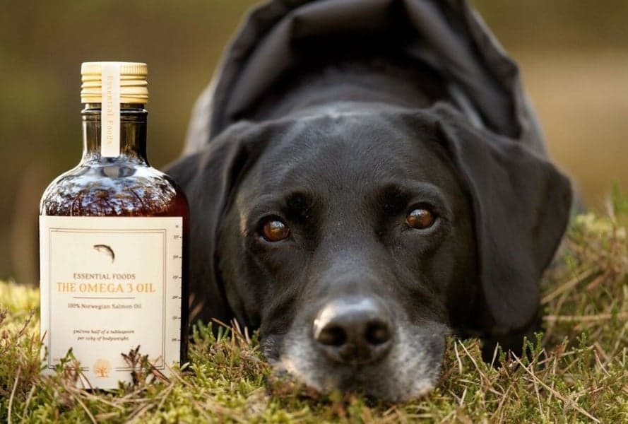 The Omega 3 Oil 500 ml, view: 1